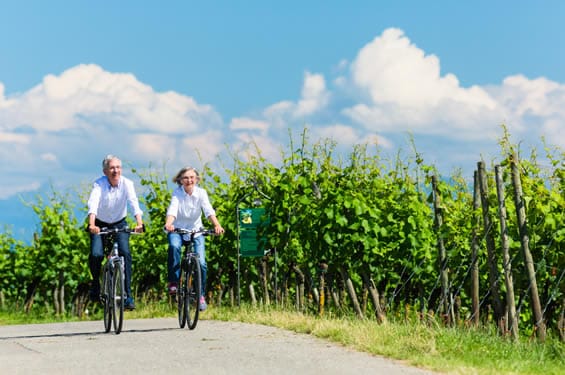 Fahrradtouren in der Weinregion Mosel